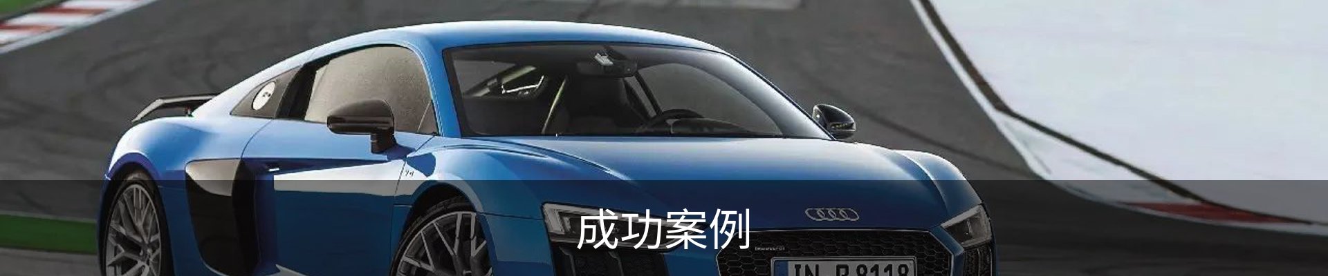成功案例